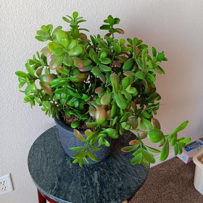 MARBLE TOP SIDE TABLE WITH A FAUX PLANT