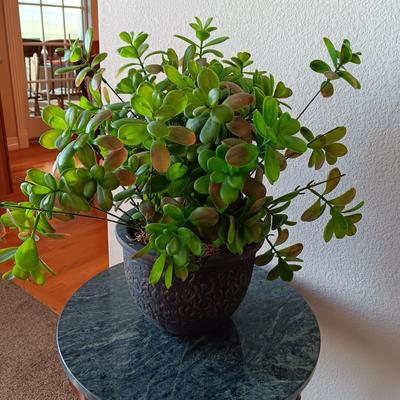 MARBLE TOP SIDE TABLE WITH A FAUX PLANT