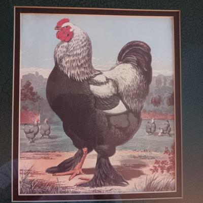 FRAMED ROOSTER WALL ART
