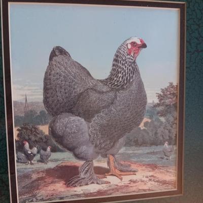 FRAMED ROOSTER WALL ART