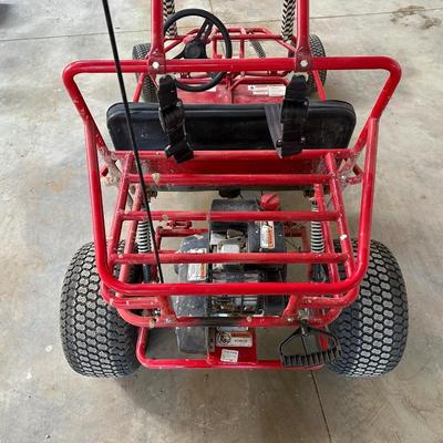 YERF-DOG 2 SEATER GO-KART * RUNS GREAT!