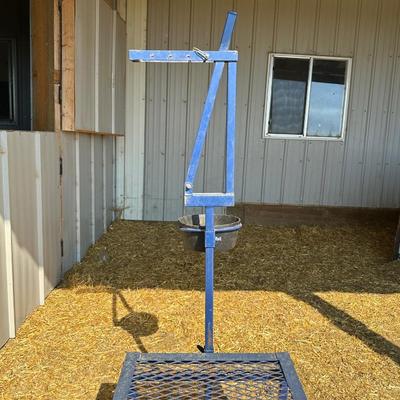 GOAT MILKING STATION