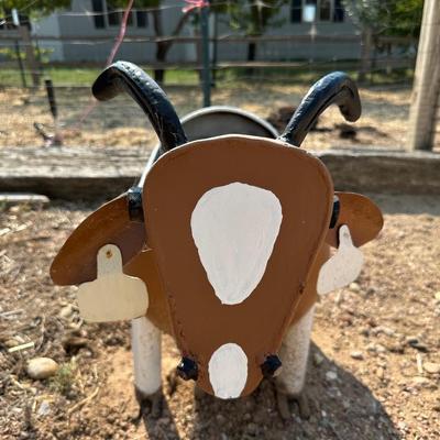 STEEL STEER FLOWER POT