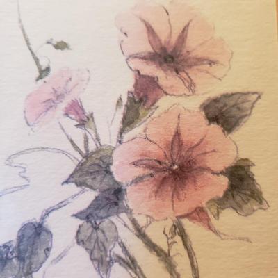 Two Signed Floral Prints and Two Floral Embroidered Pillows (2S-KD)