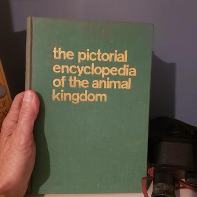 Bird Field Guides and Four Bushnell Binoculars (2S-KD)