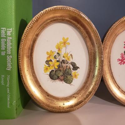 Wildflower Field Guides and Wildflower Prints (2S-KD)