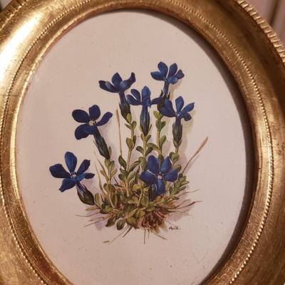 Wildflower Field Guides and Wildflower Prints (2S-KD)
