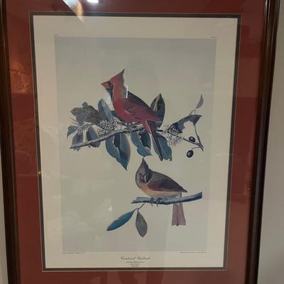 "Cardinal Grosbeak" (Audubon/Havell) Print with Wooden Frame (2LR-MG)