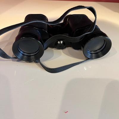 Nikon, Mercury & Skyline Binoculars (2LR-MG)