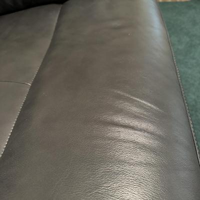 Electronic Reclining Leather Love Seat (1BD-TF)