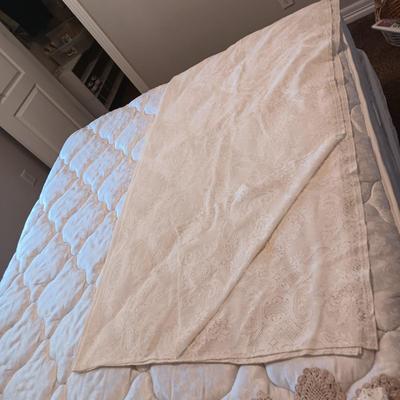 LARGE RECTANGLE LACEY TABLECLOTH AND SEVERAL DOILIES