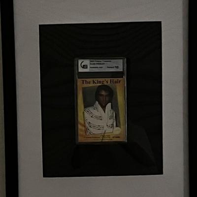Elvis Presley hair follicle.  Global Authentics slabbed