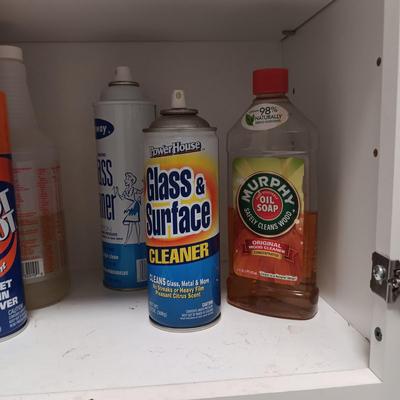 HOUSEHOLD CLEANERS/CHEMICALS