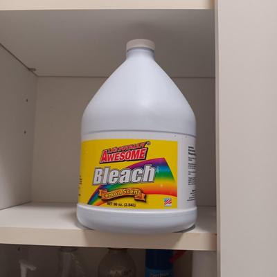 HOUSEHOLD CLEANERS/CHEMICALS