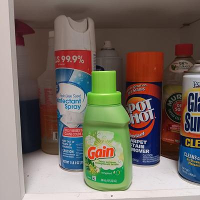 HOUSEHOLD CLEANERS/CHEMICALS
