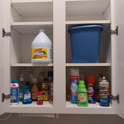 HOUSEHOLD CLEANERS/CHEMICALS