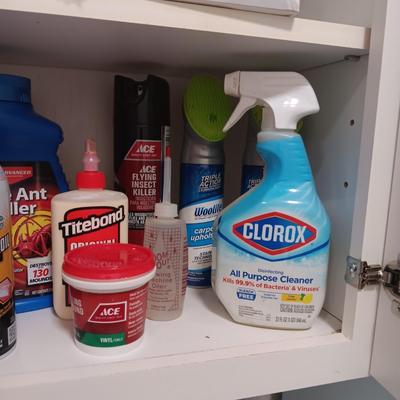 HOUSEHOLD CLEANERS AND CHEMICALS
