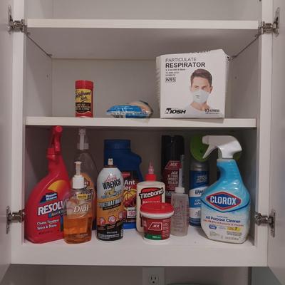 HOUSEHOLD CLEANERS AND CHEMICALS