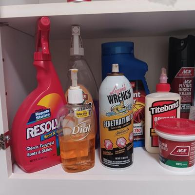 HOUSEHOLD CLEANERS AND CHEMICALS