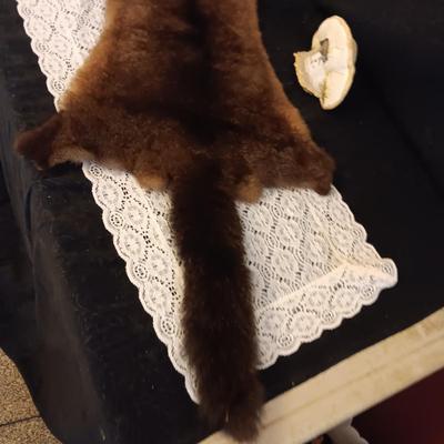 POSSUM PELT AND A RACOON PAINTED ON A PIECE OF MONKEY POD