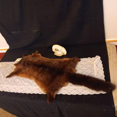 POSSUM PELT AND A RACOON PAINTED ON A PIECE OF MONKEY POD