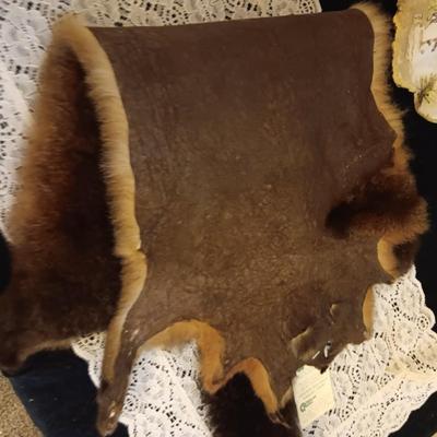 POSSUM PELT AND A RACOON PAINTED ON A PIECE OF MONKEY POD