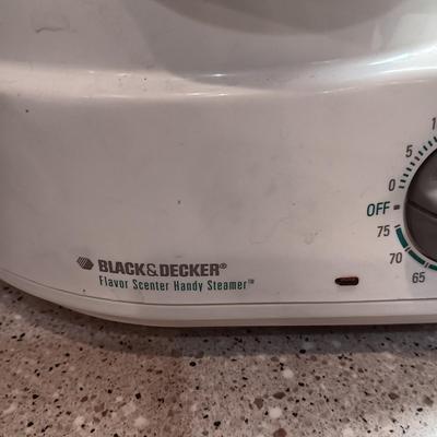 ELECTRIC STEAMER, ALADDIN CASSEROLE WARMER AND STORAGE CONTAINER