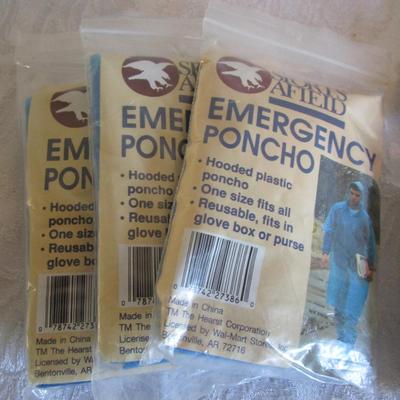 Eagle Creek waist belt pouch, emergency items