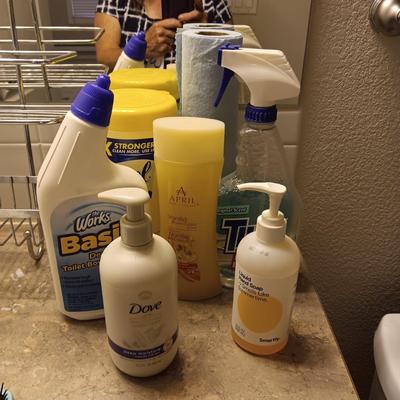 SHOWER CADDY, CLEANERS AND HAIR DRYER