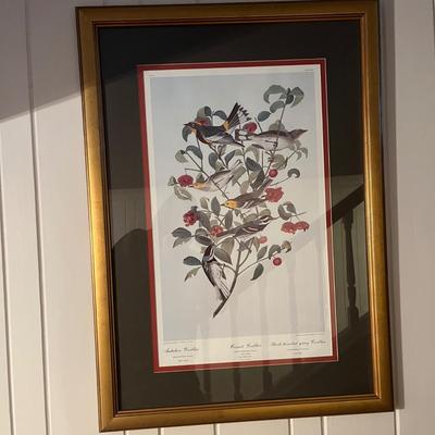 Three Wooden Framed Audubon Prints (2H-MG)