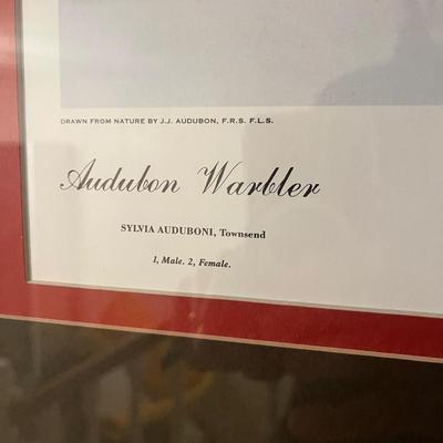 Three Wooden Framed Audubon Prints (2H-MG)