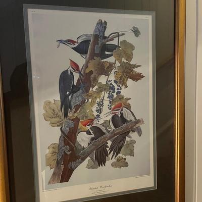 Three Wooden Framed Audubon Prints (2H-MG)