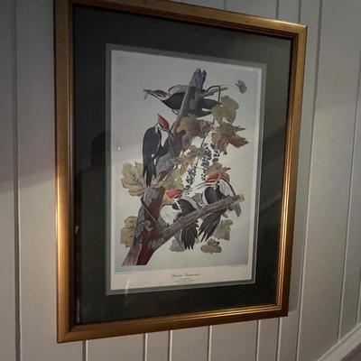 Three Wooden Framed Audubon Prints (2H-MG)