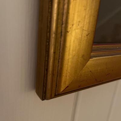 Three Wooden Framed Audubon Prints (2H-MG)