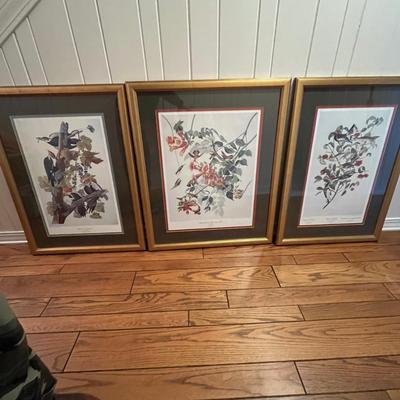 Three Wooden Framed Audubon Prints (2H-MG)