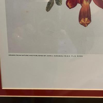 Three Wooden Framed Audubon Prints (2H-MG)