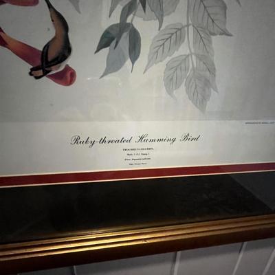 Three Wooden Framed Audubon Prints (2H-MG)