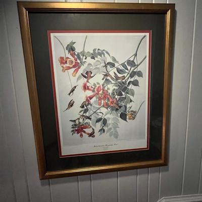 Three Wooden Framed Audubon Prints (2H-MG)