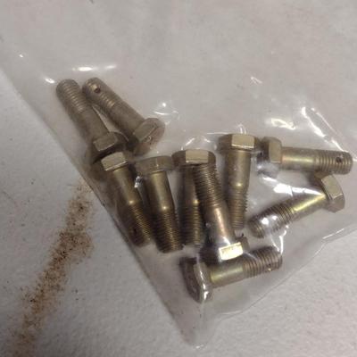 Collection of Bolts/Fasteners (#1)