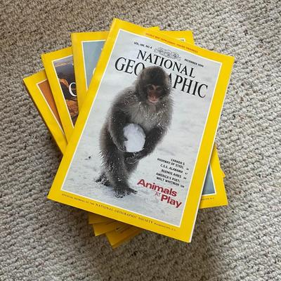 National Geographic Magazines from the 90's
