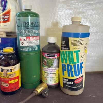 A VARIETY OF GARAGE, GARDEN, AND HOUSEHOLD CHEMICALS