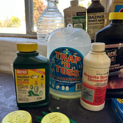 A VARIETY OF GARAGE, GARDEN, AND HOUSEHOLD CHEMICALS