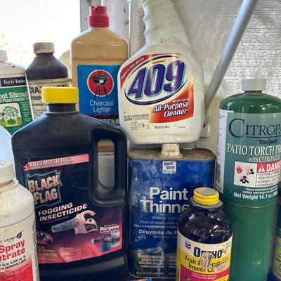 A VARIETY OF GARAGE, GARDEN, AND HOUSEHOLD CHEMICALS
