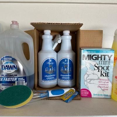 HOUSEHOLD CLEANING CHEMICALS
