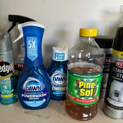 HOUSEHOLD CLEANING CHEMICALS