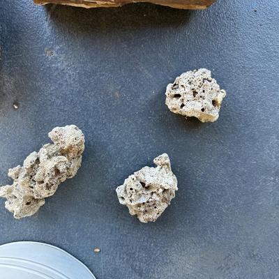 PETRIFIED WOOD AND OTHER ROCKS
