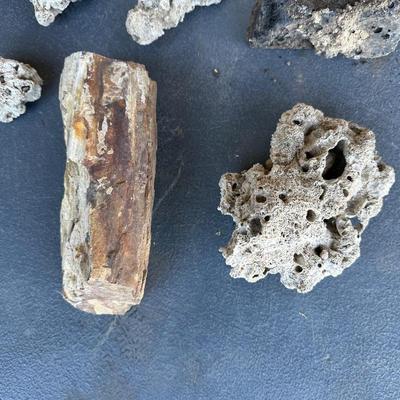 PETRIFIED WOOD AND OTHER ROCKS