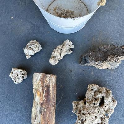 PETRIFIED WOOD AND OTHER ROCKS