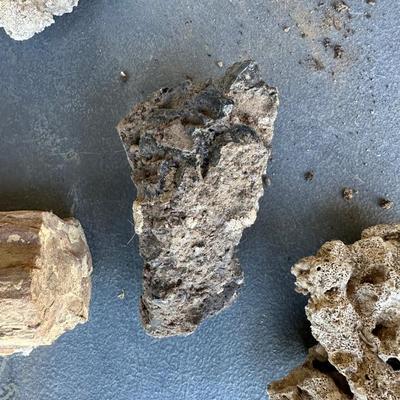 PETRIFIED WOOD AND OTHER ROCKS