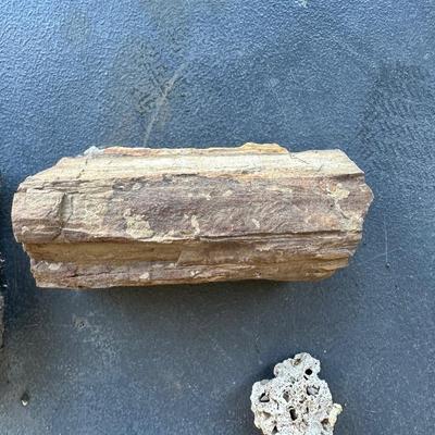 PETRIFIED WOOD AND OTHER ROCKS